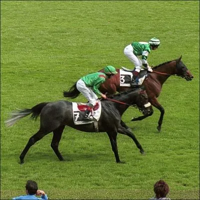 Quelle est cette discipline questre ?