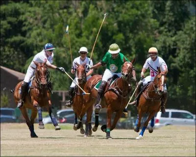 Quelle est cette discipline questre ?