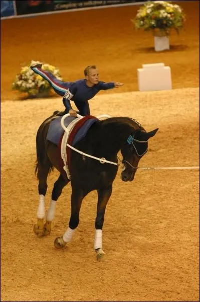 Quelle est cette discipline questre ?