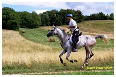 Quelle est cette discipline questre ?