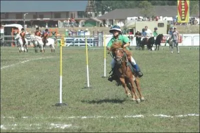 Quelle est cette discipline questre ?