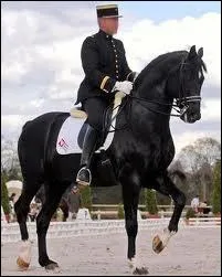 Quelle est cette discipline questre ?