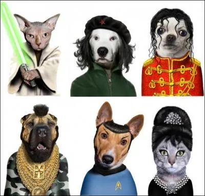 C'est celui du milieu, en bas, qui nous intresse !