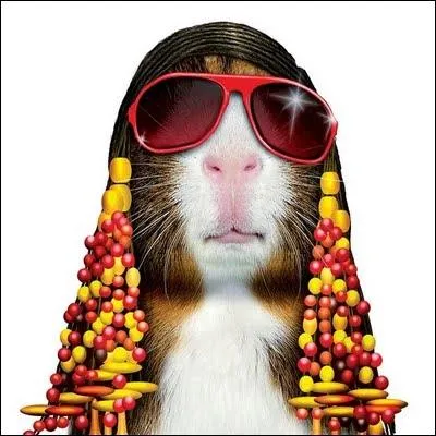 Observez le bien, car lui, il ne peut pas !