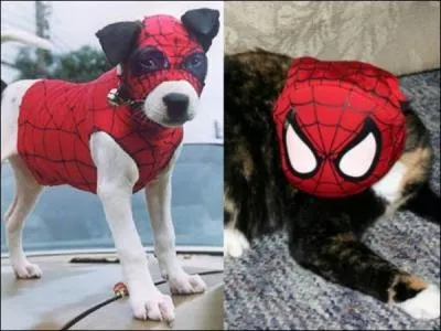 Avec ce chien, vous pouvez aller vous faire une toile !