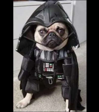 N'nervez pas Mdor, il peut vous dcouper au laser !