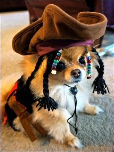 On peut le trouver dans les Carabes !