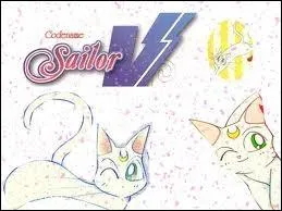 Comment s'appelle le chat de Minako ?