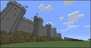 Comment s'appelle le chteau de Sailor V ?