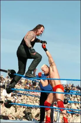 Quelle est cette prise ?