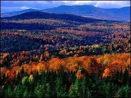 Vous partez de la ville de New York par la route plein nord. Dans quel tat/Province allez-vous arriver ?