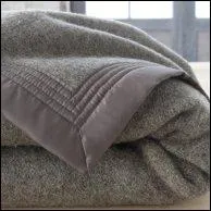   Pour une puce, ne jette pas la couverture au feu.  