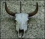   Vache de pauvre, fils de riches, deux mortels.  