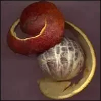 Faites le bon accord et donnez l'orthographe correcte : j'(... ), le soir, une orange (... ),