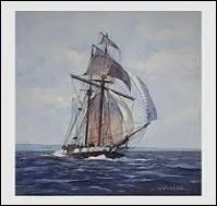 Accent : Regardant s'avancer, blanche, une (... ),