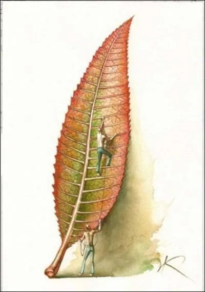 Qui a peint Feuille ?