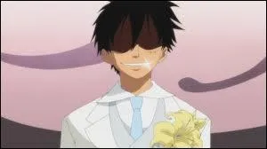 Qui tombe amoureux de Luffy ?