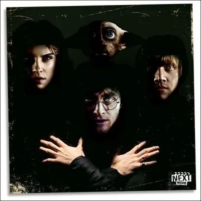 Quel groupe, ici remplac par Harry, Ron, Hermione et Dobby, peut-on voir sur la pochette d'origine ?