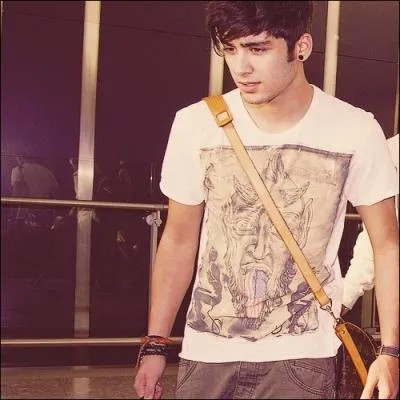 Quelles sont les origines de Zayn ?