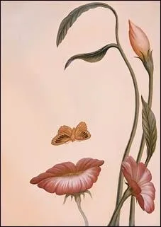 Quel est ce peintre mexicain spcialiste des  illusions d'optiques  ?