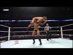 Quel est le finisher de Darren Young ?