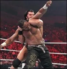 Lequel de ces finishers n'appartient pas  Mason Ryan ?