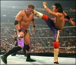 Lequel de ces finishers est celui de Yoshi Tatsu ?