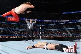 Lequel de ces finishers n'appartient pas  Curt Hawkins ?