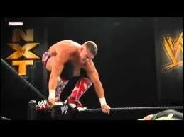 Quel est le finisher de Tyson Kidd (autre que le Sharpshooter) ?