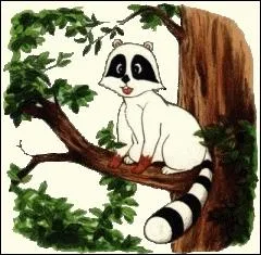 Comment s'appelle l'animal de Candy ?