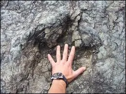 A 2 heures de marche du lieu cit  la question prcdente, nous trouvons le site de Niu Mayu. De quoi s'agit-il ?