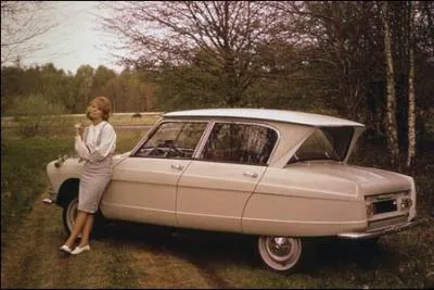 Cette Citron  la lunette arrire inverse est une :