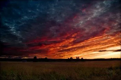 Compltez les paroles de cette chanson de Jacques Brel, le Plat pays : Avec un ciel si bas ...