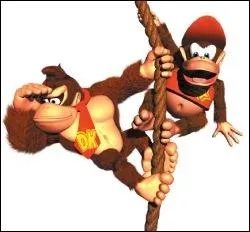 Diddy a deux habilits, lesquelles ?