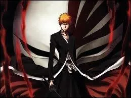 De quel anime ce personnage est-il le hros ?