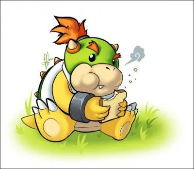 Qu'il est mignon... ce petit koopa. Mais comment il s'appelle ?