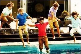 Les One Direction se connaissaient-ils avant ?