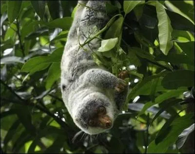 Pour un couscous, je vous donne la solution, allez en Tunisie !