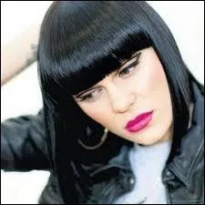 Qui est l'auteur de  Domino  et  Price Tag  ?