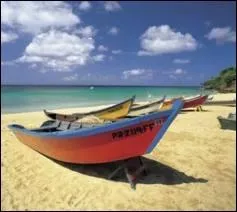 Quel pays pourrait devenir bientôt le 51e État des USA ?