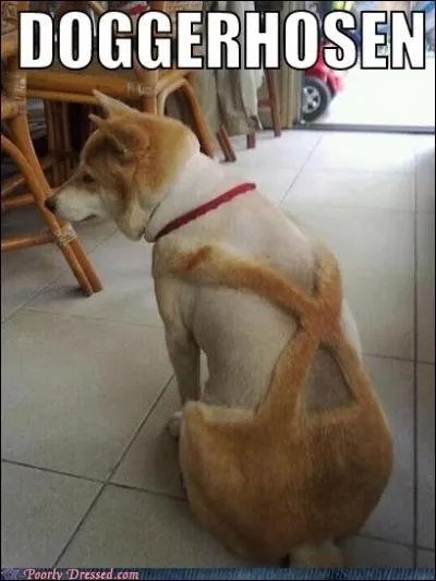 Pauvre toutou : il faut esprer que c'est un montage photo. Quand les gens considreront-ils les animaux avec le respect du  tout tre vivant ? Le titre de la photo est ?