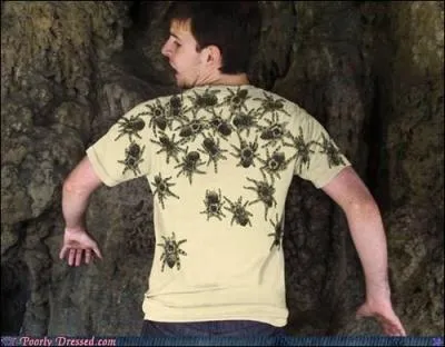 Restons dans les T-shirts incroyables : celui-ci fait irrmdiablement penser  quel personnage ?