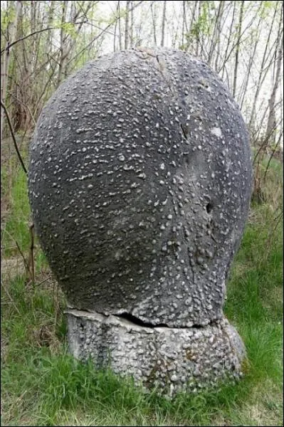 Ceci est un  trovant  : c'est une pierre de Roumanie qui prsente la particularit d'tre... ?