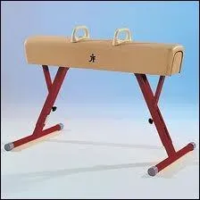 Le cheval d'aron est un agrs de gymnastique artistique...