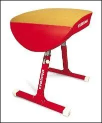 Le saut de cheval est un agrs de gymnastique artistique...