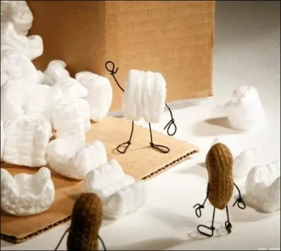 De ces trois animaux, lequel utilise la bipdie ?