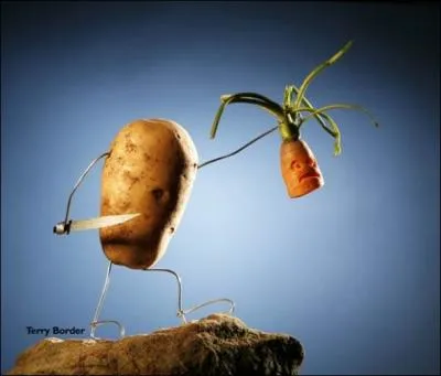 De ces trois pays, lequel pratique la peine de mort par dcapitation ?