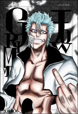 Quel  thme  reprsente Grimmjow Jaggerjack ?