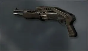 Quel est ce fusil  pompe ?