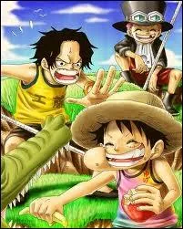 Qui possde le pyro-fruit ?